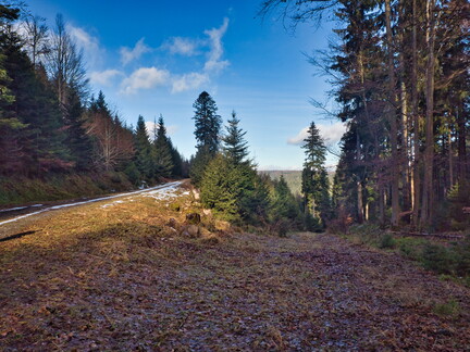 20220205202143-d4d0a45c